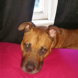 Meet your Posher, Karla